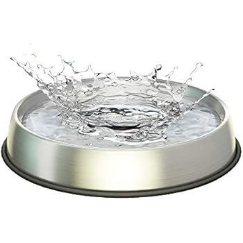 Dr. Catsby Water Bowl, Whisker Friendly, Stainless Steel, Non Skid, Dishwasher Safe, May Also Prevent Acne