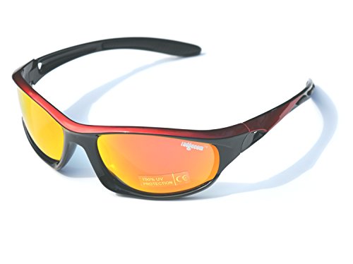 revo sunglasses hard case