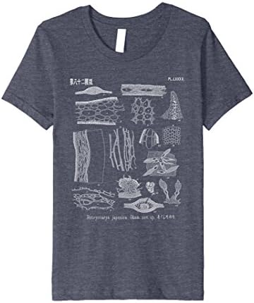 Kids Japanese Botanical Algae Scientific Illustration Ocean Tee 6 Heather Blue