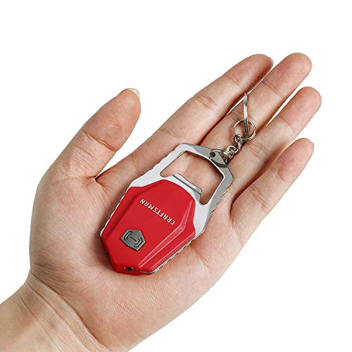 Craftsman Penlight and Keychain Flashlight Combo Kit, 2pack LED Pen