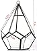 NCYP Hanging Glass Geometric Terrarium for Succulent - 6.8