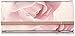 Ted Baker Sunglasses Case with Cleaning Cloth, Porcelain Rose
