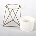 NCYP Geometric Iron Rack Holder Metal Stand Gold with White Ceramic Planter Indoor Desktop Garden Pot for Succulents Herbs Cactus Modern Style Window Sill Decorative Bonsai ( NO Plants )