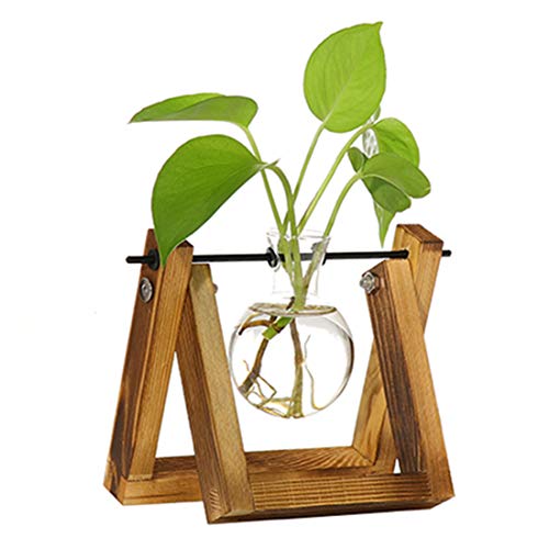 Kingbuy Desk Accessories Glass Planter Bulb Vase with Retro Solid Wooden Stand and Metal Swivel Holder for Office Desk Wedding Decor with Retro Wooden Stand (1 Bulb Vase)