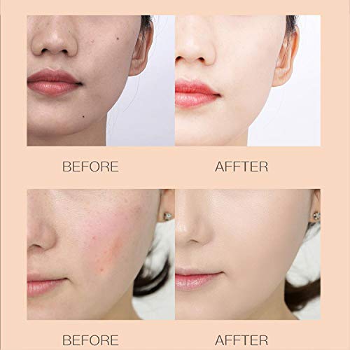 Mushroom Head Air Cushion BB Cream, Concealer Lasting Nude Makeup Moisturizing Brightening Pigment CC Liquid Foundation, Even Skin Tone Makeup Base Primer (Naturai white)