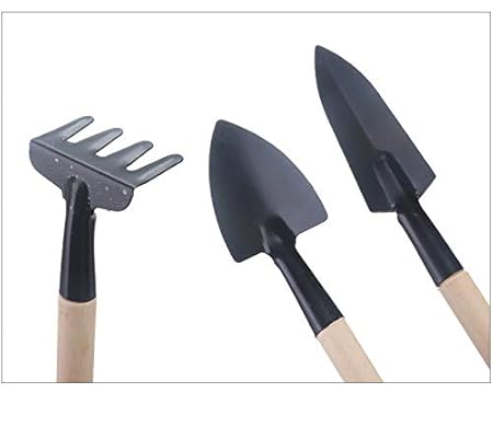 A Dahuy 3 Stücke Mini Garten Handwerkzeuge Umpflanzen Werkzeuge