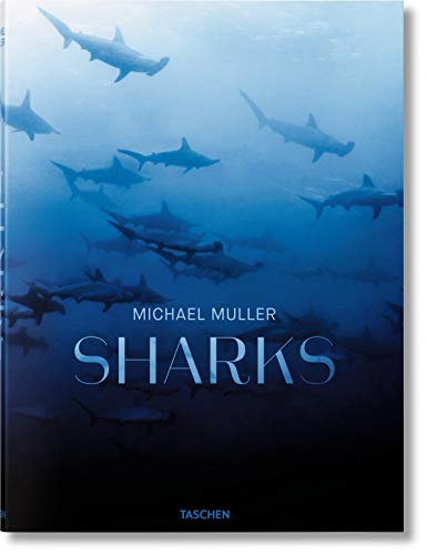 Télécharger Michael Muller: Sharks, Face-to-Face with the Ocean's Endangered Predator Livre PDF Gratuit