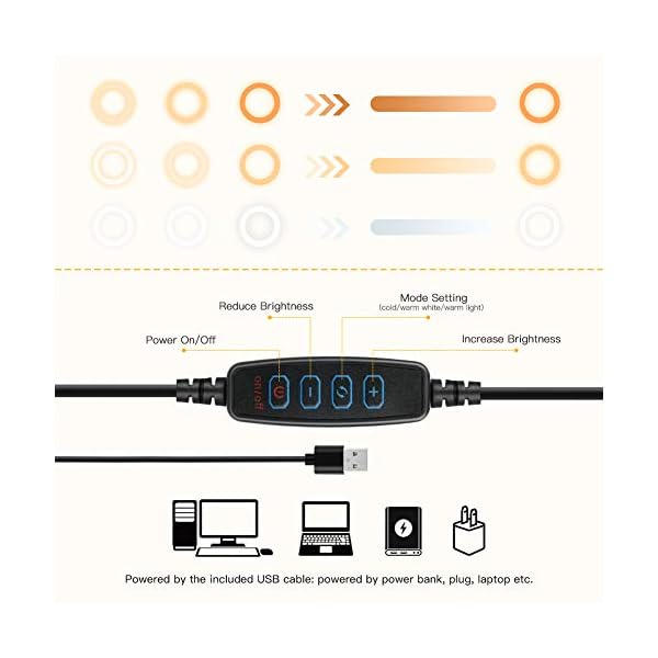 Anozer Ringlicht mit 2 Stativ, 10,2 '' LED ringleuchte mit 57,1 '' hohem Stativ und Metall Tischstativ &Stativ für Handy… – Bild 6