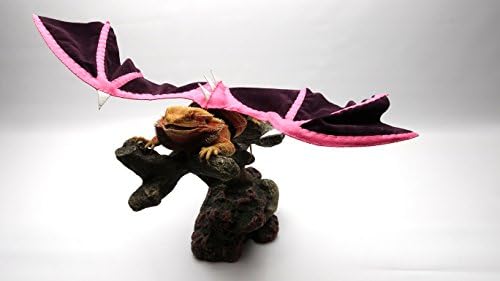 Bearded Dragon Wings, Pink and Dark Purple