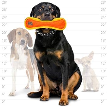 duraforce dog toy 10