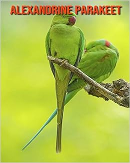 Alexandrine Parakeet Amazing Photos Fun Facts Book About Alexandrine Parakeet For Kids Dippel Alissa 9798693069978 Amazon Com Books Alexandrine Parakeet Amazing Photos Fun Facts Book About Alexandrine Parakeet For Kids Dippel Alissa 9798693069978 Amazon Com Books