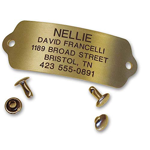 Rivet-On Pet ID Tag, Silent, Personalized and Customized Dog ID Tag That Rivets Directly onto Collar, Polished Brass, Size: Large - Thumbnail 7