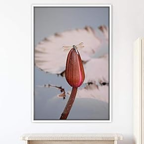 signwin Framed Canvas Wall Art Butterfly Expressive Farmhouse/Country...