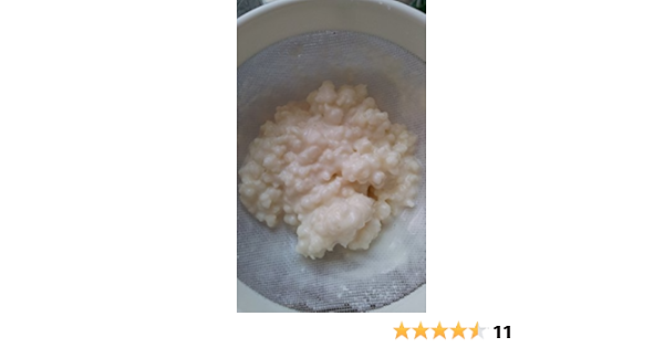 Nódulos de kéfir de leche : Amazon.es: Hogar y cocina