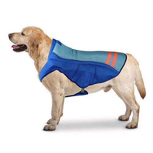 bingpet dog cooling jacket