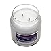 Village Candle Winter Wonderland 26 oz Glass Jar Scented Candle, Large