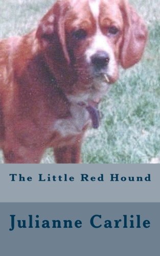 red hunting dog