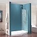 Mecor Frameless Hinged Shower Door 44