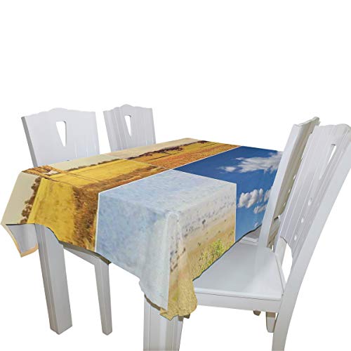 CHASOEA Decor Tablecloth African Safari Collage Lanscape with Native Animals Grassland Savannahs Mamals Rectangular Table Cover 60" x 104"