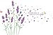 Beautiful Large Long Stem Lavender Flowers with Butterflies Waiting for the Arrival of Love Wall Decals