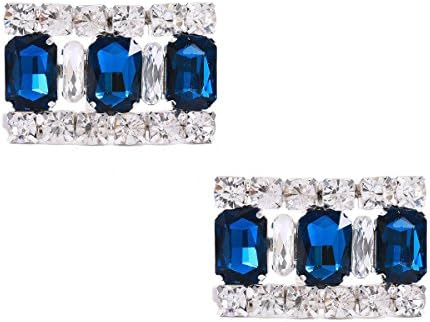 Zebratown 1 Pair Rhinestones Flowers Crystals Wedding Party Shoe Clips Crystal Shoes Clutches (Sapphire)