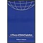 A Theory of Global Capitalism: Production, Class, and State in a Transnational World (Themes in Global Social Change)