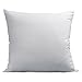 The Great American Store - Set of 2 Indoor/Outdoor 6D Pillows (28 X 28) Pillow for Decorative, Bed Pillow Shams - Fiberfill