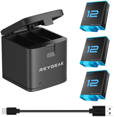 Go Pro Battery Charger LYONGTECH Dual Battery Charger For GoPro