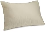 Calvin Klein Poppy Oval Bands Standard Sham, Bisque