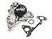 Evergreen TBK323WP2 Compatible With 03-06 Kia Sorento 3.5L DOHC G6GU Timing Belt Kit GMB Water Pump