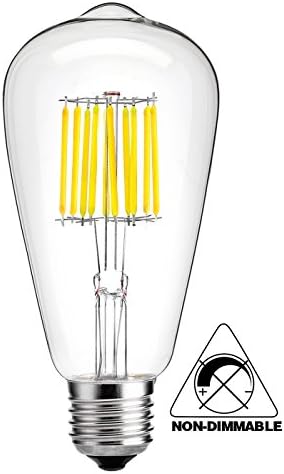 HzSane 10W Edison Style Vintage LED Filament Light Bulb, 6000K Daylight White 1000LM, ST64(ST21) Antique Shape,E26 Medium Base Lamp, 100W Incandescent Replacement, Not Dimmable.(Pack of 1)