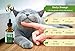 Hemp Oil for Dogs and Cats - 1000 mg / 250 mg - 100% Organic Hemp Extract for Pets - Supports Anxiety Relief, Hips & Joint Pain, Arthritis, Allergy, Seizures, Inflammation, Immune System Aid (1000 mg)