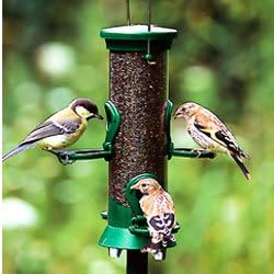 Amazon Com The Recycle Works Nyjer Seed Bird Feeder Wild Bird