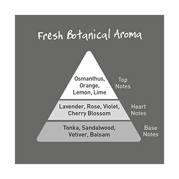 Natural Deodorant Spray for Men by Salt of the Earth, Pure Armour - Vegan, Long Lasting Protection, Leaping Bunny…