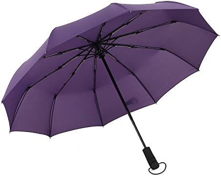 VANRAY Travel Umbrella Windproof 10 Ribs Folding Umbrella Automatic Open and Close Large Compact Umbrella, Purple