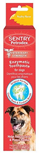 Petrodex Enzymatic Toothpaste for Dogs - Poultry Flavor, 2.5-Ounce, 2 Pack