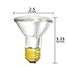 Sterl Lighting - 6 Pack, PAR20 Halogen Flood Light Bulb, 38W, 120V, Clear, Dimmable, 2700K Warm White, E26 Base Best for Accent Light, Track Lighting, Recessed Can, Stove Hood, Landscape Lighting