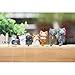 Finduat 12 Pcs Cat Keychains Charms, Collectable Figurines for Kids Adults, Birthday Party Centerpiece Decorations, Cat Theme Baby Shower Party Favors for Kids Birthday Party