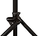 Ultimate Support TS-80B Speaker Stand - Black