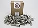 Stainless 1/2-13 x 2 Hex Head Bolts (3/4