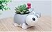 Cuteforyou Succulent Pots,Cute Cartoon Ceramic Succulent Cactus Flower Pot,Pencil Holders,Desk Accessories, Makeup Brush Storage Stand-Plant Not Included (Grey Schnauze)
