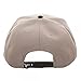 Destiny Video Game Sonic Weld Mens Logo Snapback Hat