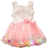 Kids Girls Princess Rose Garden Flower Petal Lace Ruffled Tulle Skirts Dresses