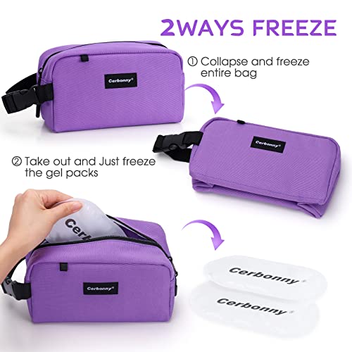 Small Cooler Bag Freezable Lunch Bag for Work School Travel,Leakproof