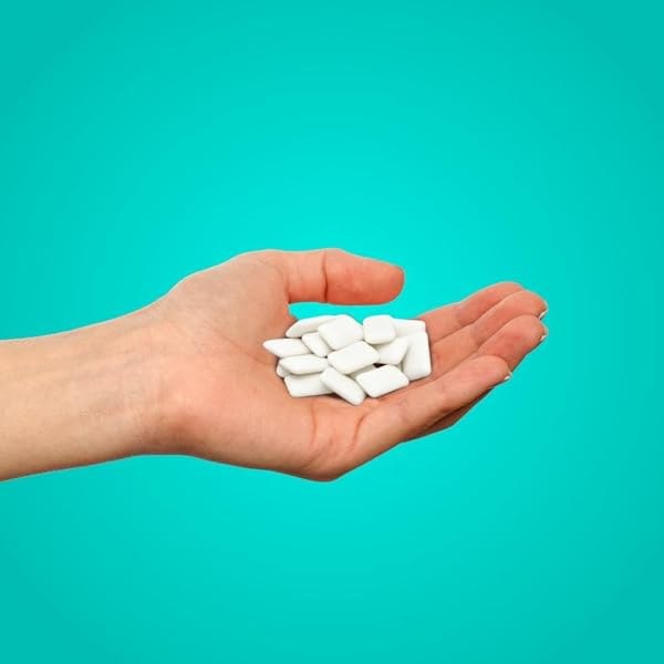 PUR GUM | ASPARTAME FREE CHEWING GUM | 100% XYLITOL | NATURAL WINTERGREEN FLAVORED GUM, 55 PIECES (PACK OF 3)