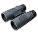 Carson 3D Series 8x42mm Binocular with High Definition Optics (TD-842)