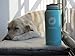 LOGO MAY SMEAR - Ecoblu 32oz Summer Wide Mouth Stainless Steel Water Flask - White - Double Walled BPA Free Hydro Insulated Large Water Bottle for Hot and Cold Liquids - Perfect for Men and Women
