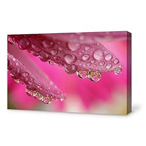 for Living Room Bedroom Home Artwork Paintings Life Theme