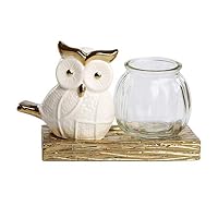 DNSJB Sculpture Ornament Flower Pot Cartoon Owl Shaped Succulent Plant Ceramic Flower Pot Random