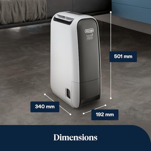 De’Longhi Tasciugo AriaDry Light - Déshumidificateur Portable pour la Maison, Zéolite et Ioniseur, Élimination Humidité 6L/24h, Séchage, Anti-Moisissure, Silencieux, Mode Swing, Minuteur, Gris (DNS65)